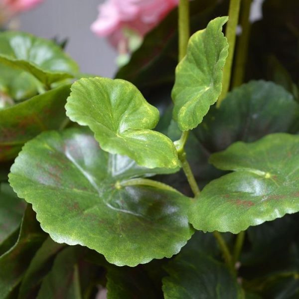 Bloeiende kunstplanten dat maakt dat deze kunstplant er natuurgetrouw uitziet. Deze uitbundig bloeiende kunstgeranium heeft een hoogte van ongeveer 40 cm en een breedte van ongeveer 25 cm. De kunstplant wordt geleverd in een klein binnenpotje en dus makkelijk in een lange sierpot te plaatsen. Verkrijgbaar in rood en roze