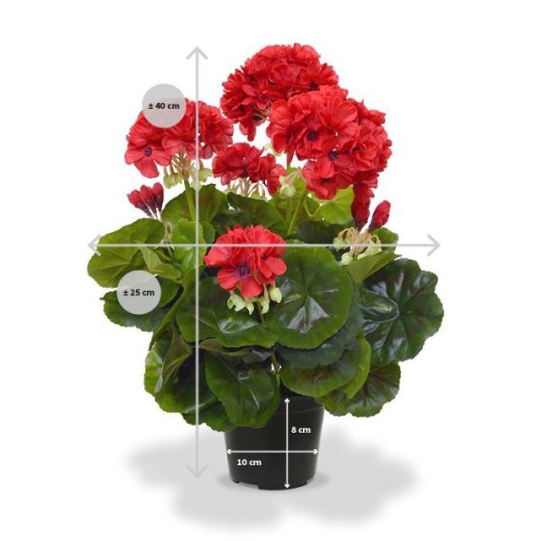 Geranium kunstplant 40 cm rood in pot Wie kent ze niet: de geranium. Wellicht één van de meest verkochte kunstplant in Nederland en nog steeds razend populair. Onze kunstgeranium heeft 3 grote bloemen