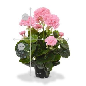 Wie kent ze niet: de geranium. Wellicht één van de meest verkochte kunstplant in Nederland en nog steeds razend populair.   Onze kunstgeranium heeft 3 grote bloemen