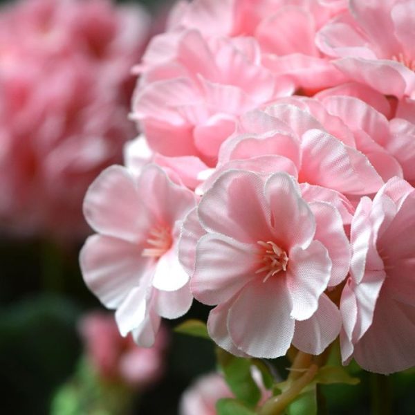 Geranium-kunstplant-boeket-40-cm-roze-6 Geranium kunstplant boeket 40 cm roze 6