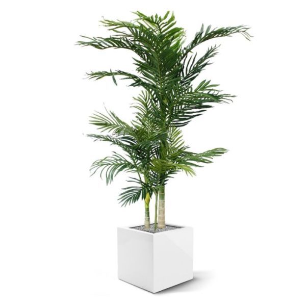 bestaat uit 3 aparte kunststof stammen welke zijn opgepot in een in plastic pot