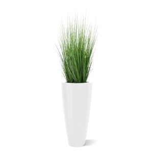 Deze speelse Grasplant 100 cm is een mooie aanvulling op het assortiment kunst grasplanten. Dit model heeft met zijn vele zijscheuten een goedgevulde en natuurlijke uitstraling! Met een hoogte van ongeveer 100 cm kan de kunstplant zowel in een hoge als in een lage sierpot gepresenteerd worden. De breedte bedraagt ongeveer 30 cm. Deze grasplant wordt veelal met meerdere verkocht om als natuurlijke scheidingswand te dienen. Het kunst siergras
