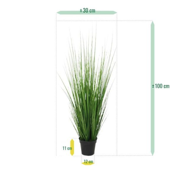 Grasplant 100 cm in pot 4