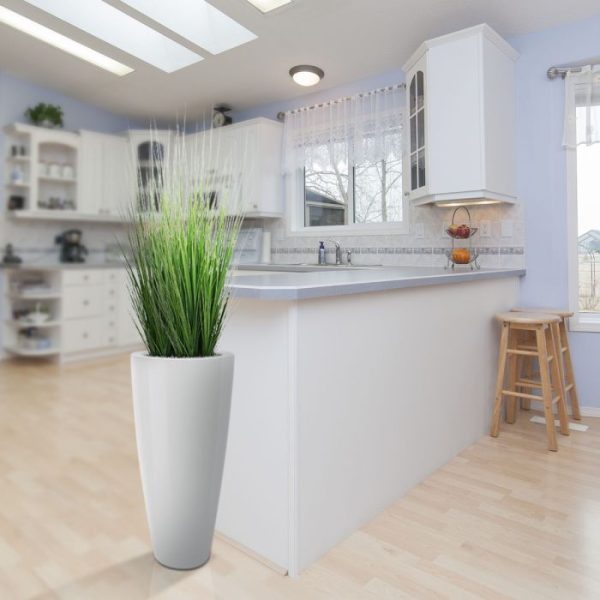 Grasplant 100 cm in pot 5