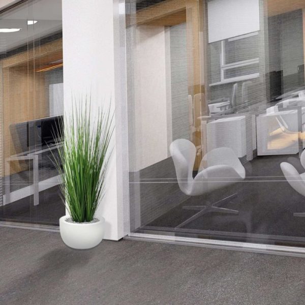 Grasplant 100 cm in pot 6