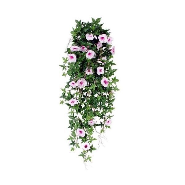 Hangpetunia 110cm rose 1