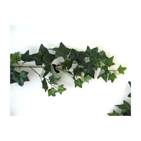 Hedera guirlande 180cm groen Hedera slinger van 180cm lengte. De groene bladeren van deze slinger zijn van een zeer natuurgetrouwe kwaliteit