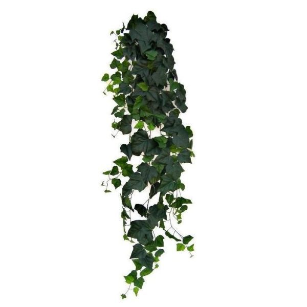 Hedera-hangplant-180cm-Deluxe-7 Hedera hangplant 180cm Deluxe 7