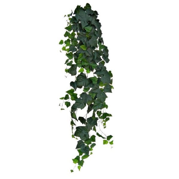 Hedera-hangplant-180cm-Deluxe-8 Hedera hangplant 180cm Deluxe 8