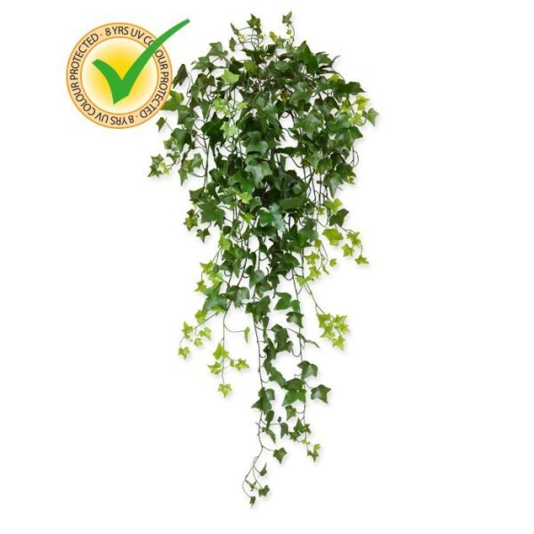Kunsthangplanten door zijn diversiteit aan blaadjes in verschillende kleuren en afmetingen zal menigeen moeite hebben om te zien dat het hier om een kunstplant gaat! Omdat de UV-protector in de grondstof van de kunststof is verwerkt kunnen wij de garantie geven dat deze kunsthanger gedurende 8 jaar lang niet verkleurt! De totale lengte van de hangplant is ongeveer 100 cm