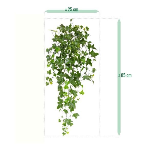 de breedte is ongeveer 25 cm. Door de pin is deze makkelijk middels een schroefoog op te hangen. Grote delen van deze klimop zijn uit 1 stuk gegoten waardoor hij echt wel tegen een stootje kan. Een echte aanrader voor buiten! Profiteer van de voordeel prijs vanaf 6 stuks. Tevens verkrijgbaar in de lengtes 65 en 100 cm.