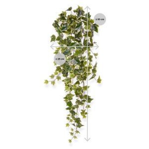 Deze bonte hedera kunst hangplant 80 cm ziet er dankzij de bladeren in verschillende kleurtinten en afmetingen heel natuurlijk uit. De bladkleur is groen-bont. De iets opstaande blaadjes zijn rijk gedetailleerd en frisgroen van kleur. Een groot aantal van de bladeren heeft een gele rand