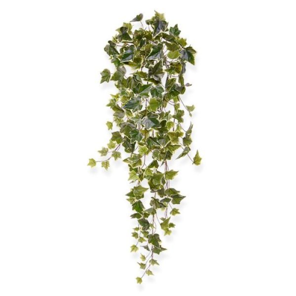 Hedera-kunsthangplant-80-cm-bont-4 een unieke variatie in een groene wand in uw horeca of een verticale tuin thuis. Tevens verkrijgbaar in verschillende andere lengtes en uitvoeringen.