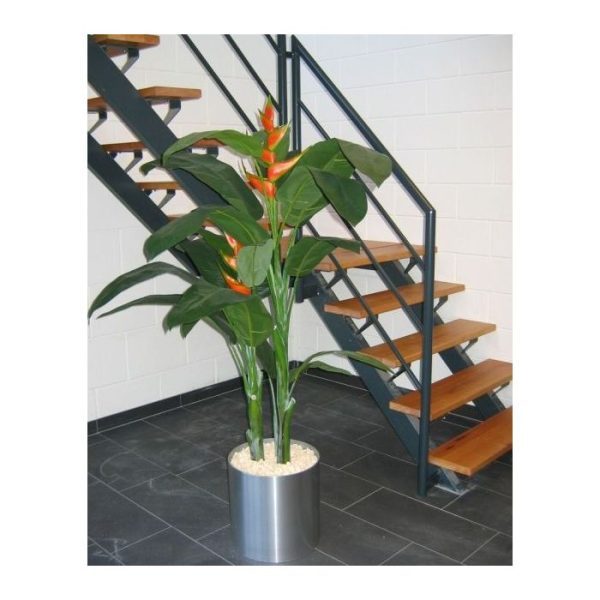 Deze zijden Heleconia voelt zicht perfect thuis in een tropische ambiance. Het is dan ook een perfecte plant om in binnenzwembaden of serres extra sfeer te maken. Met zijn lange bladtakken en natuurgetrouwe stronk is de Heleconia bovendien heel goed nagemaakt!   De 2 oranje/rode bloemen zijn van bijzonder mooie kwaliteit en de bladprints zorgen voor een extra natuurlijke uitstraling.  De boom is 175cm hoog en wordt standaard in een plastic pot geleverd. De afgebeelde sierpot is dus niet bij de prijs inbegrepen.