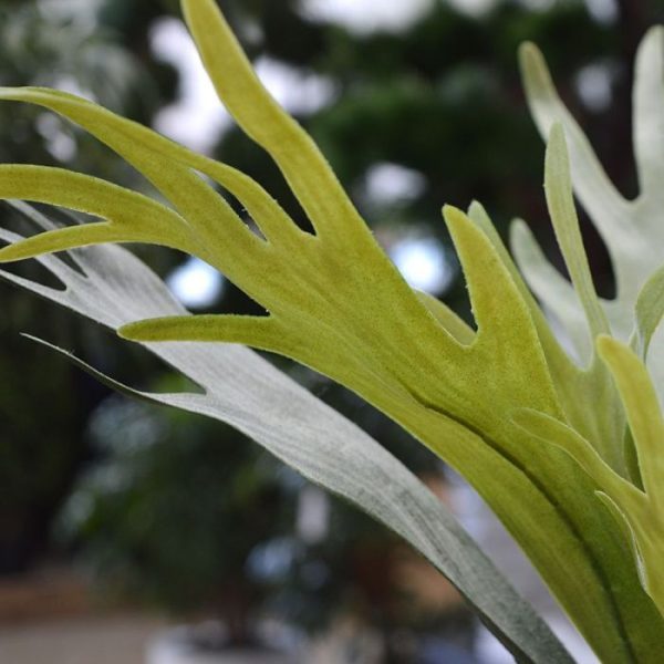 zijdezacht aan. Deze kunstplant is dan ook niet van een echte te onderscheiden. De hoogte is ongeveer 40 cm