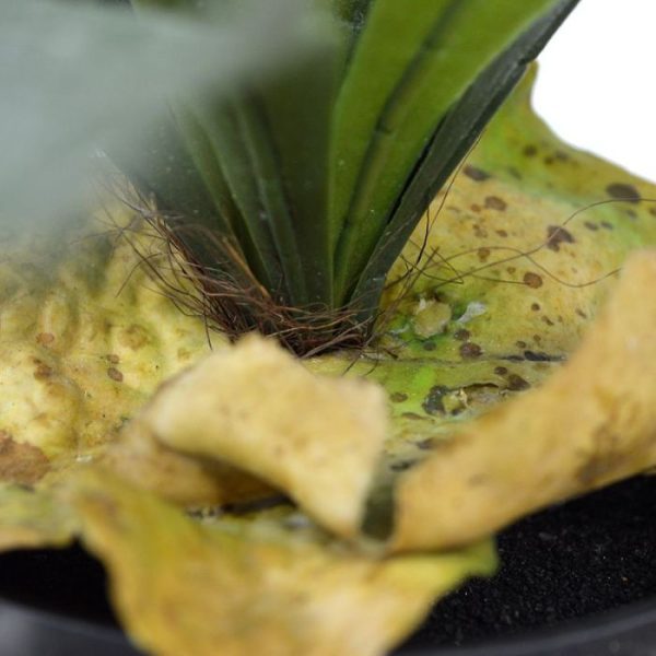 Hertshoorn Boeket 50 cm 5