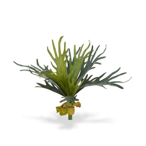 Hertshoorn Boeket 50 cm 7