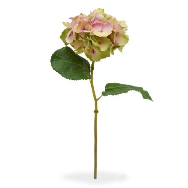 Hortensia Deluxe steelbloem 45 cm roze Deze schitterende kunst Hortensia steelbloem is net echt! De stengelbloem is opgebouwd uit een enkele steel met daarop een grote kunstzijden Hortensia bloem. Door zijn vele vertakkingen meet de kunstbloem 12 cm breed en telt deze wel 41 bloemetjes! De kunst Hortensia wordt standaard als losse steel geleverd en kan daardoor makkelijk verwerkt worden tot prachtige kunstboeketten. De kunststeel heeft een lengte van ongeveer 45 cm en is verkrijgbaar in het creme