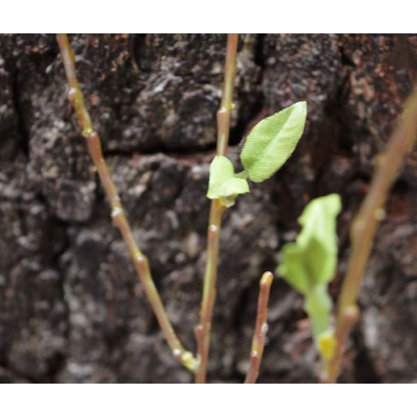 De kunst Houttak Deluxe 100 cm wordt vaak ter decoratie gepresenteerd