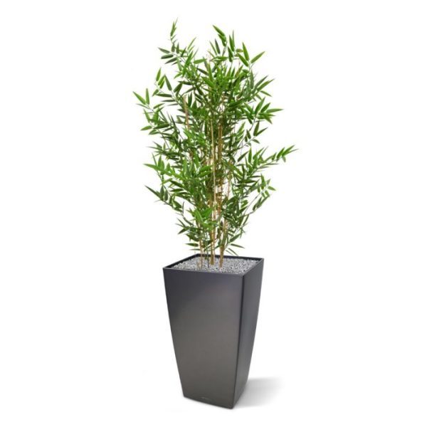 Kunstplanten van een zeer natuurgetrouwe topkwaliteit