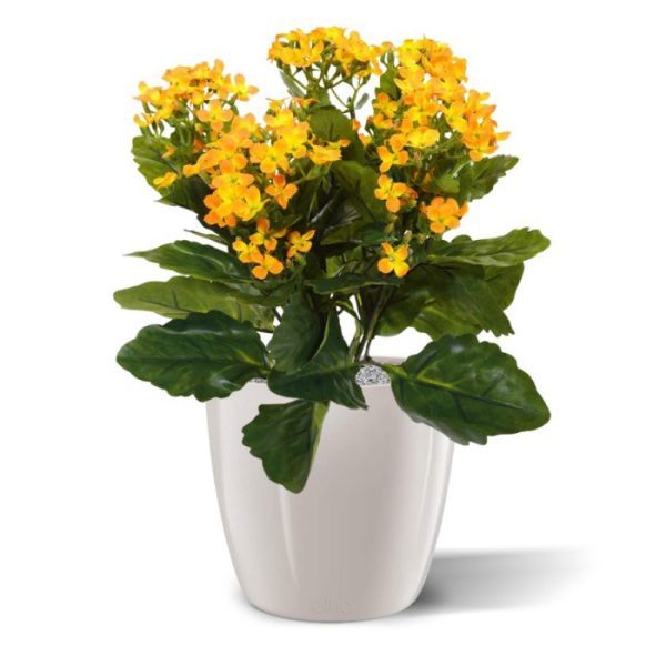 Kunstplanten deze kunstplant leent zich er prima voor! De hoogte deze Kalanchoe is ongeveer 30 cm