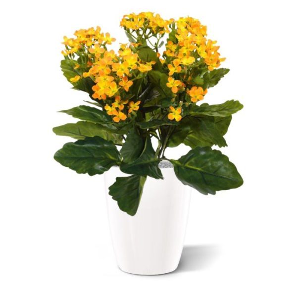 Kalanchoe kunstplant 30 cm oranje in pot Deze prachtige zijden Kalanchoe kunstplant is met zijn vele kleine bloemetjes een decoratief tafelplantje dat zich op de vensterbank en in de horeca thuis voelt. Als enkel plantje in een sierpot of met meerdere in een lange bak