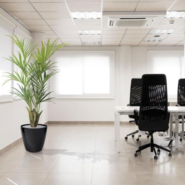 Kentia-kunstpalm-Deluxe-165-cm-5 Kentia kunstpalm Deluxe 165 cm 5