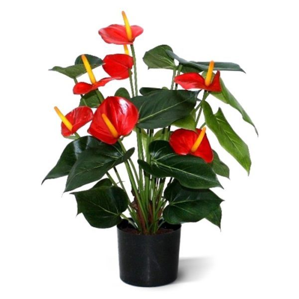 Kunst-Anthurium-deluxe-50-cm-rood-6 Kunst Anthurium deluxe 50 cm rood 6
