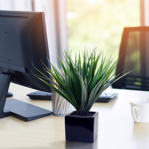 Kunst Bamboegras 25 cm donkergroen in pot 8