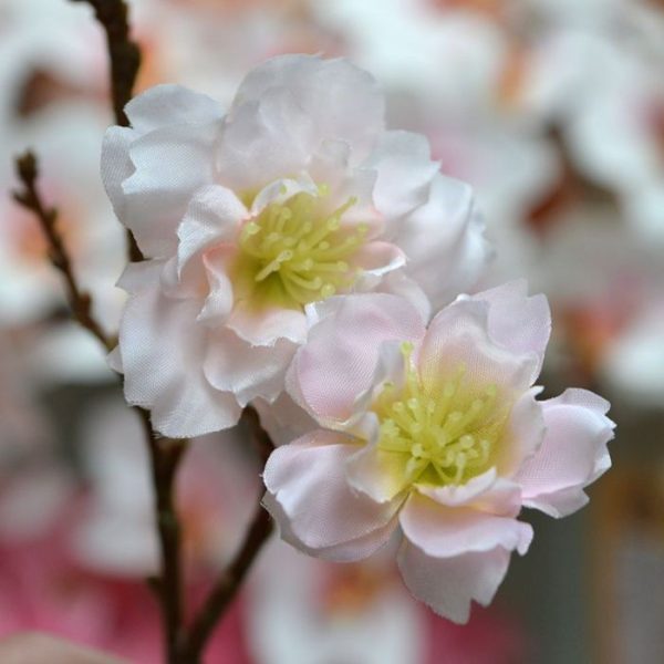thema decoratie of om grote bloesembomen mee te bouwen.   De natuurgetrouwe bloesemtak heeft 18 kleine bloemetjes met delicaat nagemaakte stampertjes en een vleug roze op het bloem blad. De steel heeft een mooie hout structuur.   De lengte van de kunsttak is ruim 60 cm. De breedte bedraagt ongeveer 15 cm.   Vanaf 12 stuks profiteert u van een korting op de prijs.
