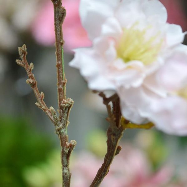 Kunst Bloesemtak 60 cm roze 3