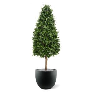 Deze UV bestendige Buxus Tower 140 cm is gemaakt van een hoogwaardig pvc. Daardoor is deze UV kunstboom ideaal om buiten mooie decoraties mee te maken.   De vernieuwde versie is met name door zijn kleur en nieuwe blaadjes bijna niet meer van de echte Buxus te onderscheiden! De natuurgetrouwe Tower
