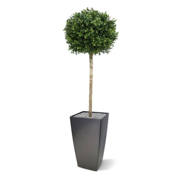 zullen deze gedurende 8 jaar lang beschermt zijn tegen verkleuren. Let op! De stam is van echt hout en dus vatbaar voor weersinvloeden en zwammen. Voor een langere levensduur raden wij aan om de stam te behandelen met een primer of beits.