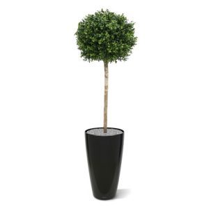Deze UV bestendige kunst Buxus Bol op stam is gemaakt van een hoogwaardig pvc. Daardoor is deze UV kunstboom ideaal om buiten mooie decoraties mee te maken. De vernieuwde versie is met name door zijn kleur en nieuwe blaadjes bijna niet meer van de echte Buxus te onderscheiden! Deze kunstbuxus is totaal 110 cm hoog. De diameter is 40 cm. Standaard wordt de bol geleverd in een plastic pot. Omdat de UV-protector enkel in de grondstof van de kunststof delen is verwerkt