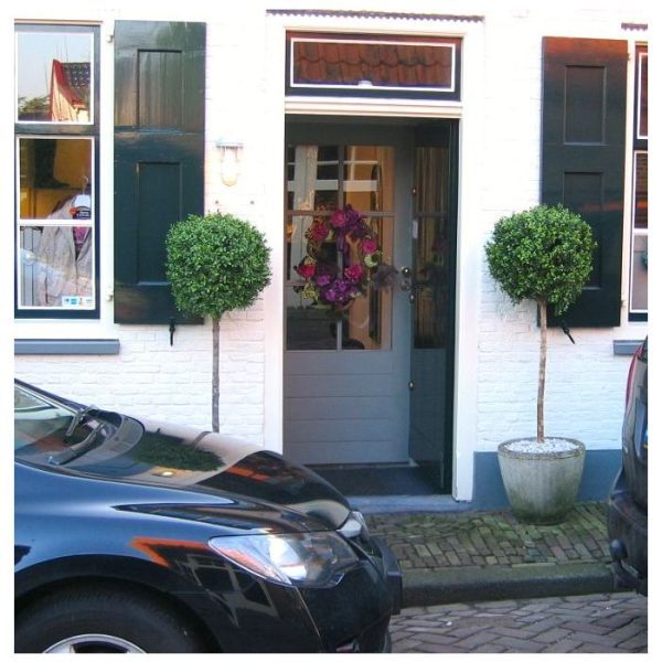 Kunst Buxus bol op stam 110 cm UV 7