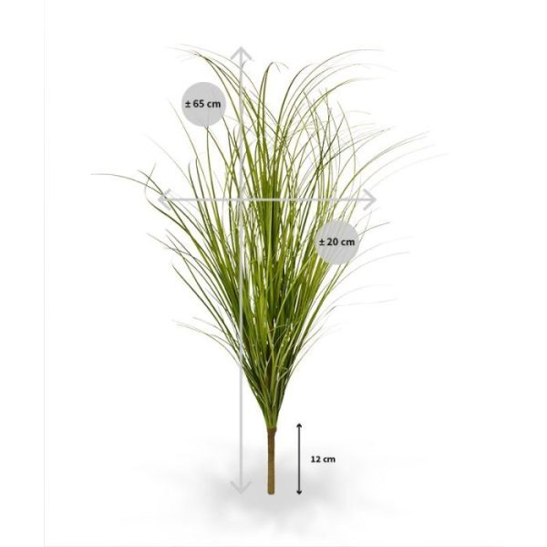 inclusief steel. Standaard wordt de plant geleverd als los boeket