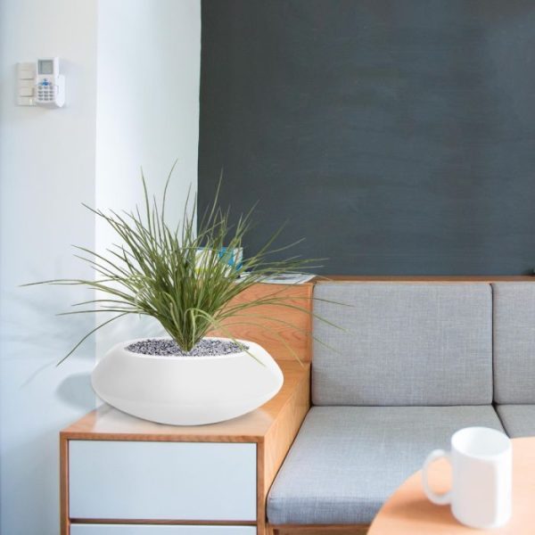 zou denken alsof het om een origineel grasboeket gaat! Dit leuke grasboeket in groene kleur heeft een steker zodat u deze eenvoudig kunt verwerken. Alleen in een pot of met meerderen in een creatief arrangement