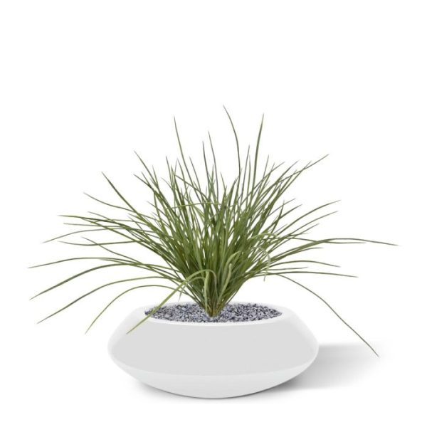 Wie een extra vol en wijd grasboeket zoekt