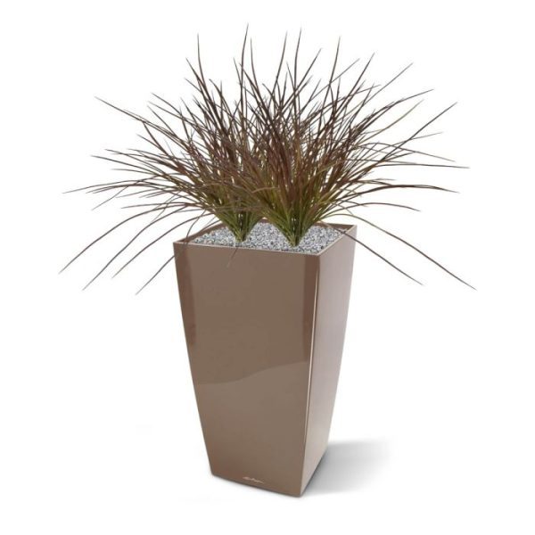 Kunstplanten in creatieve arrangementen op te steken of als solopresentatie in een hoge pot. Trek uzelf lekker terug en laat u betoveren door dit harmonieuze samenspel! Dit kunst grasboeket in een warme bruinrode kleur is gemaakt van volkunstof van hoge kwaliteit dat uit één mal gegoten is. Hierdoor zult u geen knopen