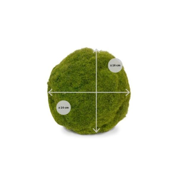 Deze kunst Mos Bol laat zich bij uitstek goed gebruiken als basis voor hangende planten arrangementen. Doordat de Mosbol een zachte kern heeft kunt u er op een heel eenvoudige wijze hangplanten en boeketten insteken en op die manier voor prachtige hangende decoraties zorgen. De buitenzijde van de bol is bedekt met een zeer verfijnd laagje kunstmos dat de bol een heel natuurlijke uitstraling geeft. De diameter is ongeveer 16 cm. De nagemaakte mosbol wordt los geleverd zodat u deze kunt plaatsen in een plantenhanger naar keuze. De afgebeelde touw hanger wordt niet meegeleverd. Vanaf 6 stuk profiteert u al van een voordeel korting.