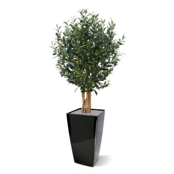 Groene kunstbomen voor de meest natuurlijke uitstraling. De diameter van de volle bladkroon is ±70 cm op het breedste punt. De boom is opgebouwd uit meer dan 1500 blaadjes