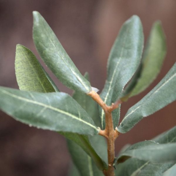 Kunst-Olijftak-Deluxe-85-cm-3 Kunst Olijftak Deluxe 85 cm 3