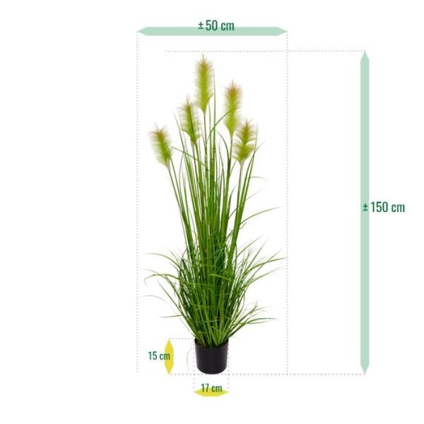 wordt geleverd in een standaard plastic binnenpot waardoor deze eenvoudig in een sierpot te plaatsen is.