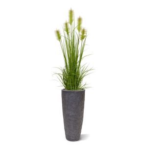 Levensechte kunst Rietgras gezocht om mee uit te pakken? Dat gaat u zeker lukken met dit speelse en levendige kunstgras dat niet van echt te onderscheiden is! Hoort u het geritsel van de harde stelen in combinatie met de aaizachte en vrolijk uitwaaierende pluimen in de wind? Dit kunstig nagemaakte Rietgras is een topper onder de kunstgrasplanten. Met zijn vele zijscheuten en natuurlijk verlopende kleuren in groen en bruin heeft deze soort kunstgras een goedgevulde en levendige uitstraling! U kunt zelfs de gekrulde uiteinden van de jonge scheuten en de vliesjes van waaruit de pluimen groeien