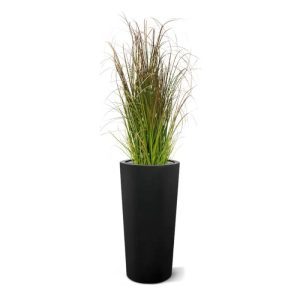 Dit speelse Rietgras is een mooie aanvulling op het assortiment kunstgras planten. Dit model heeft met zijn vele zijscheuten en natuurlijke kleuren een goedgevulde en levendige uitstraling! Met een hoogte van ongeveer 90 cm kan de kunstplant zowel in een hoge als in een lage sierpot gepresenteerd worden. De breedte bedraagt ongeveer 30 cm. Het kunst siergras