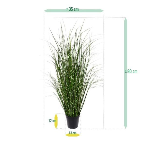 hoge bakken. Het kunst siergras