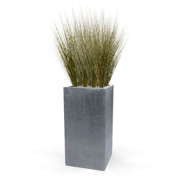 zodat deze eenvoudig in een sierpot of bakken te plaatsen is. Van 6 stuks profiteert u van een korting op de prijs.