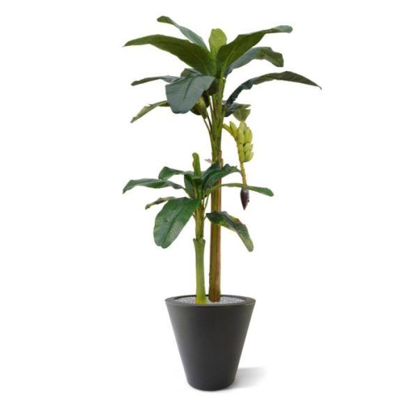 grote kunstzijden bladeren en heeft een mooie tros bananen. Extra aandacht is uitgegaan naar de stam waarin echte bananen schors is gebruikt. In horeca