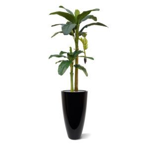 Deze Bananen kunstboom ziet er wel heel erg natuurlijk uit! De boom is opgebouwd uit 2 stammen met zeer natuurgetrouwe