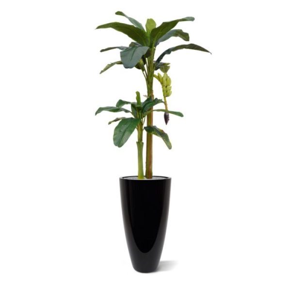 Deze Bananen kunstboom ziet er wel heel erg natuurlijk uit! De boom is opgebouwd uit 2 stammen met zeer natuurgetrouwe